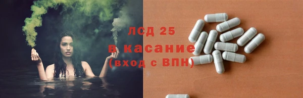 PSILOCYBIN Богданович