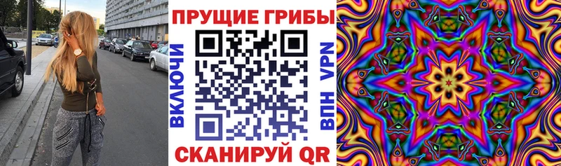 Псилоцибиновые грибы мицелий  продажа наркотиков  Большой Камень 